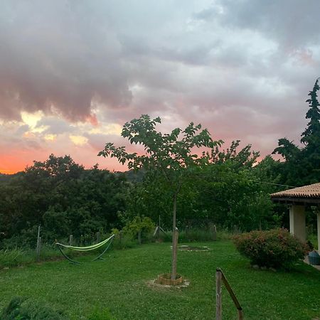 Agriturismo Il Covo Del Solengo Valtopina Экстерьер фото