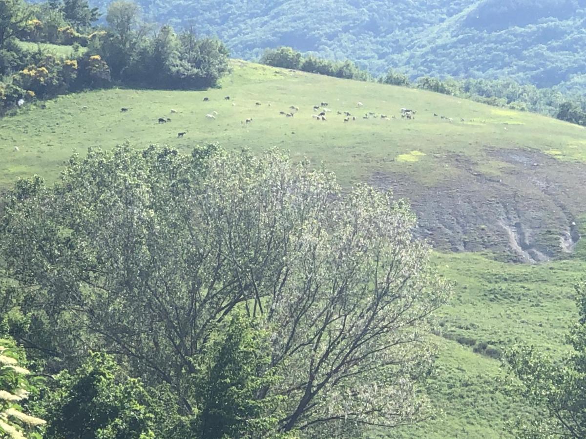 Agriturismo Il Covo Del Solengo Valtopina Экстерьер фото
