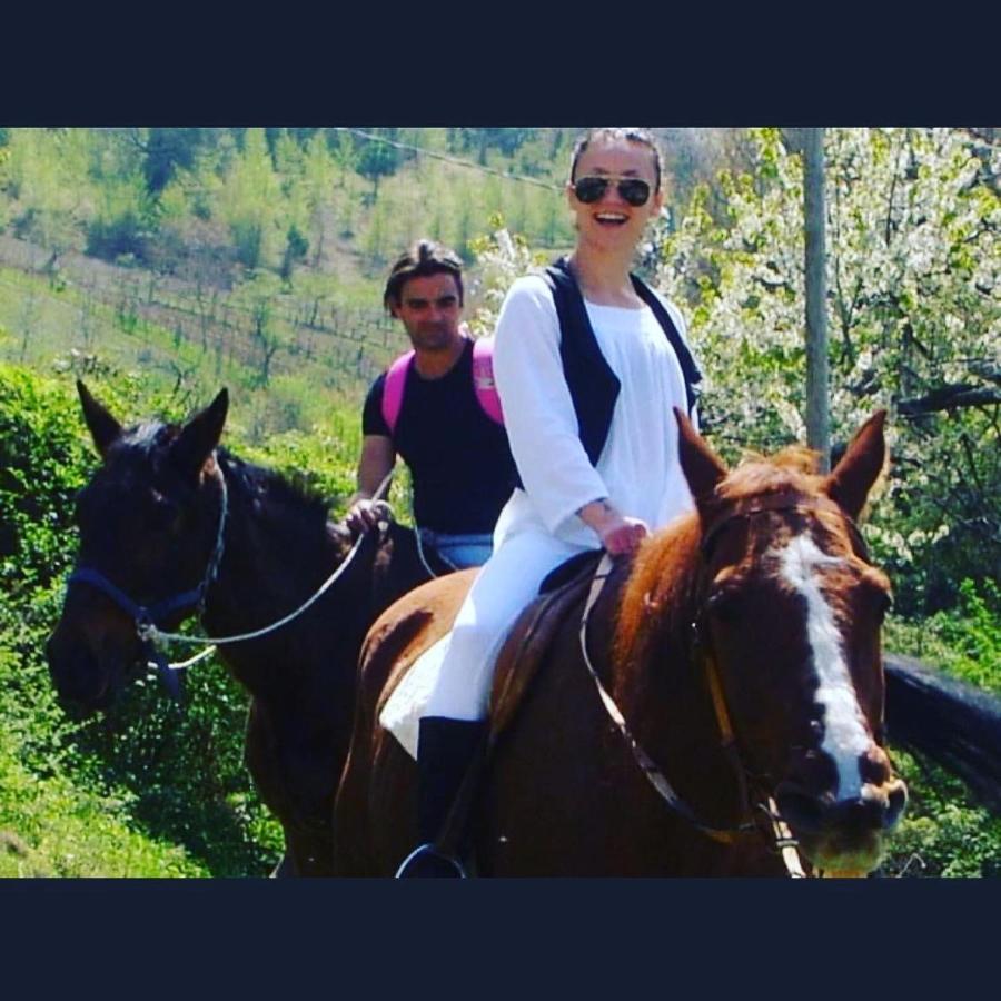 Agriturismo Il Covo Del Solengo Valtopina Экстерьер фото
