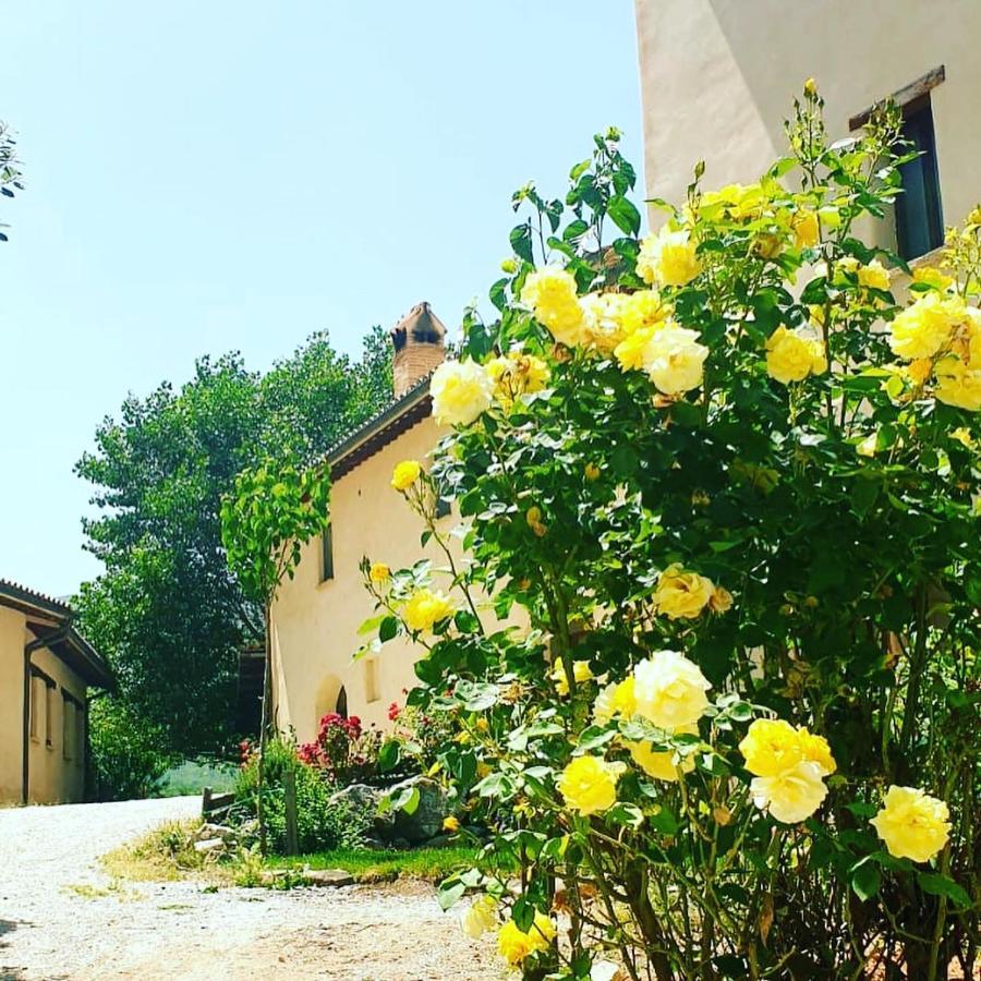 Agriturismo Il Covo Del Solengo Valtopina Экстерьер фото