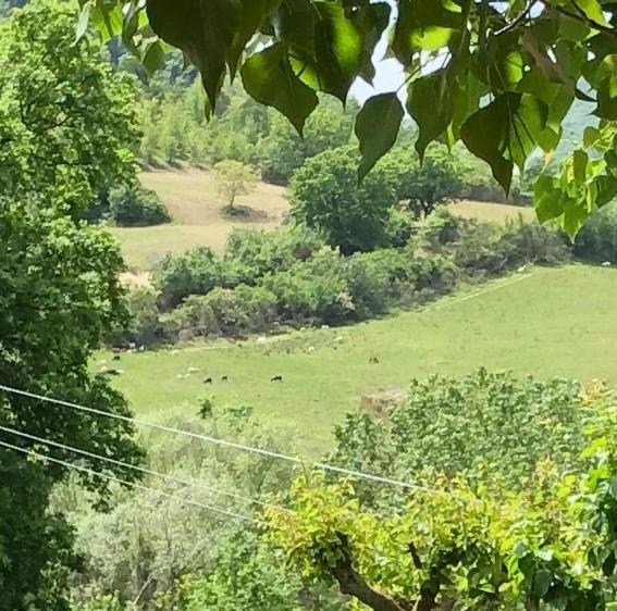 Вилла Agriturismo Il Covo Del Solengo Valtopina Экстерьер фото