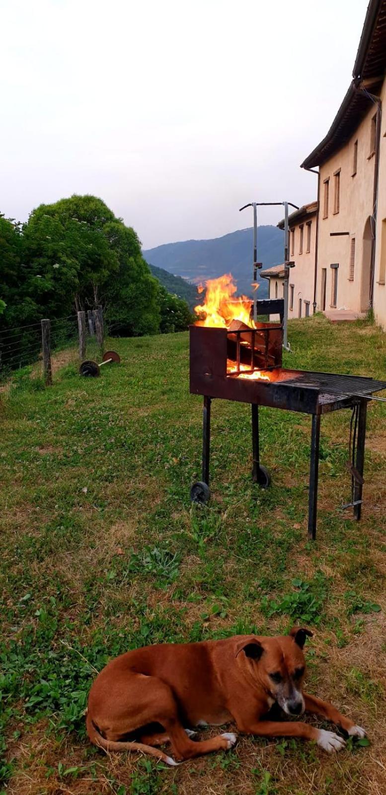Agriturismo Il Covo Del Solengo Valtopina Экстерьер фото